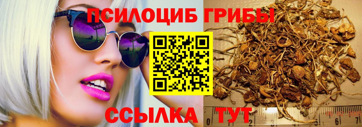 Галлюциногенные грибы мицелий  Галлюциногенные грибы Psilocybe  купить наркоту  Южно-Сахалинск  Вход с VPN 